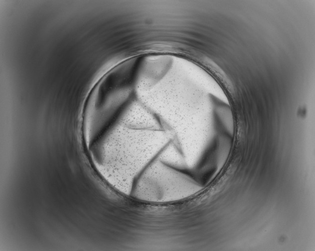 X0000102821378200809151005