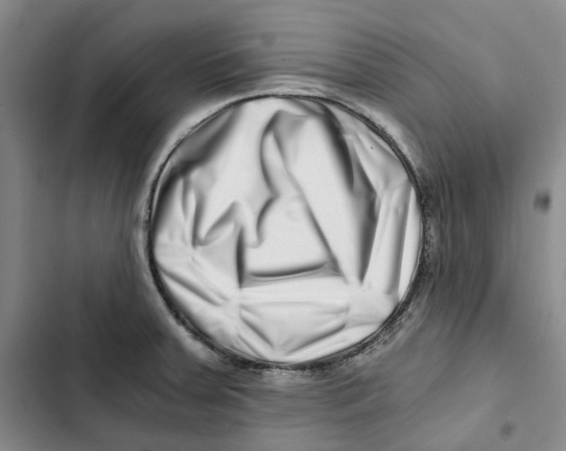 X0000102821379200809151005