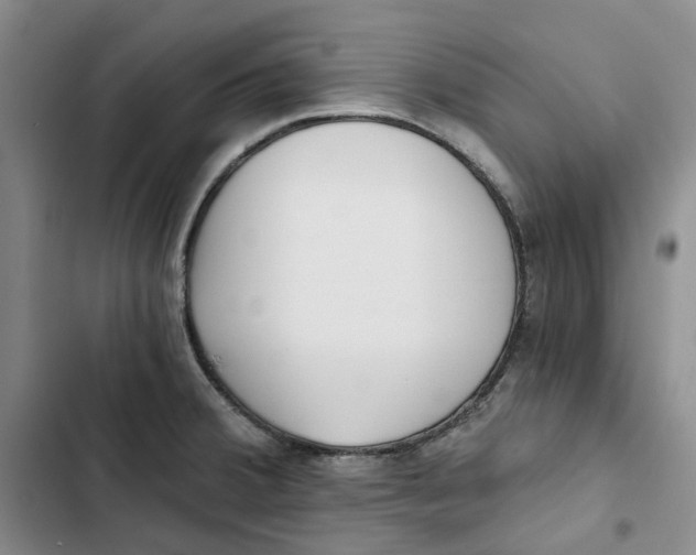 X0000102821380200809151005