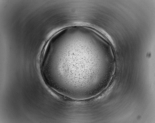 X0000102821381200809151005