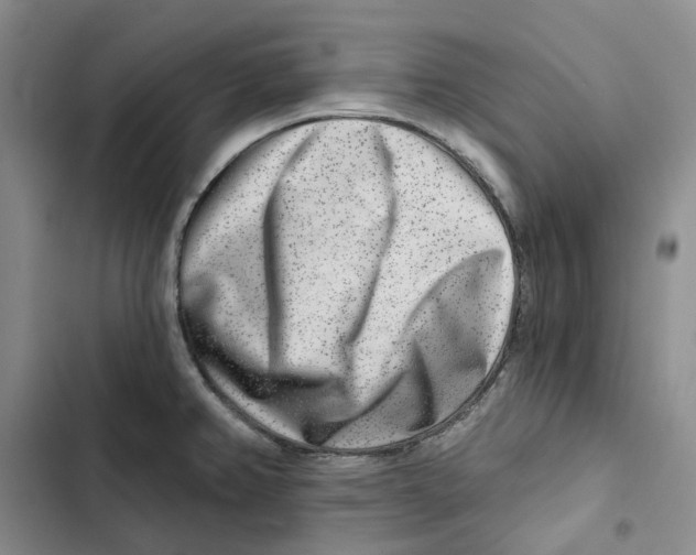 X0000102821382200809151005