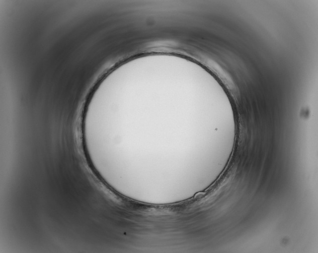 X0000102821384200809151005