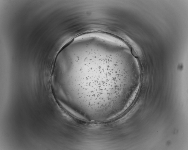 X0000102821385200809151005