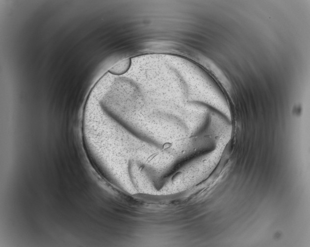 X0000102821386200809151005