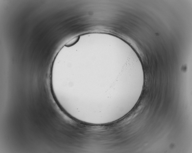 X0000102821387200809151005