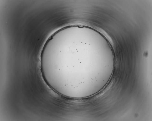 X0000102821388200809151005