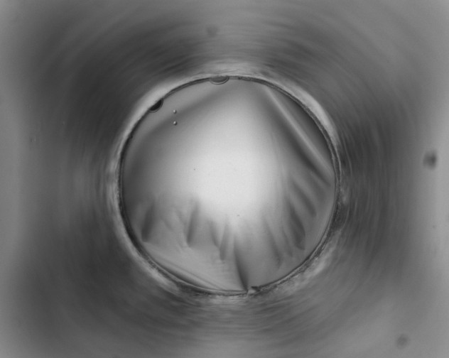X0000102821389200809151005