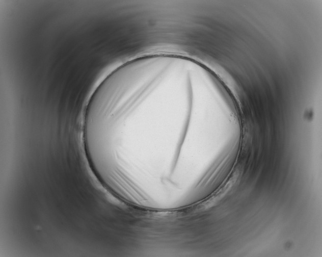 X0000102821390200809151005