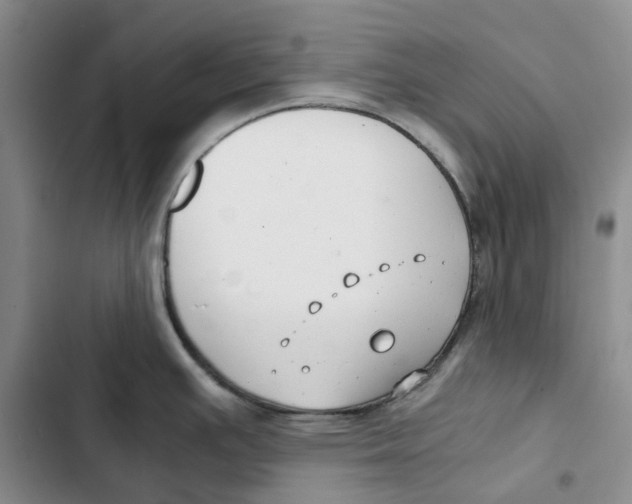 X0000102821391200809151005