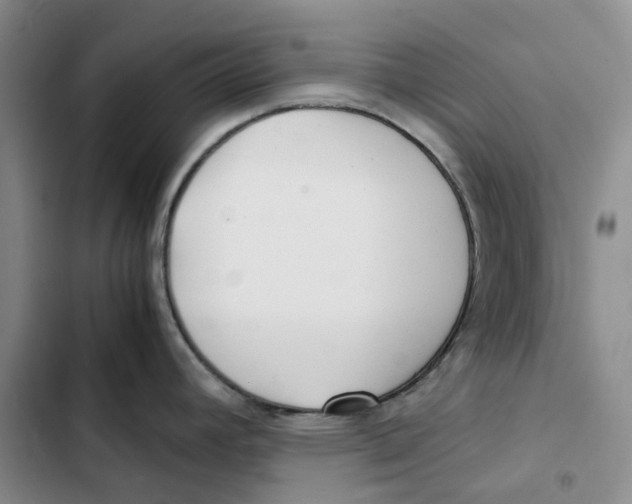 X0000102821392200809151005