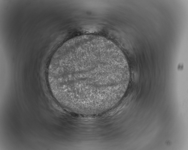 X0000102821393200809151004