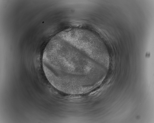 X0000102821394200809151004