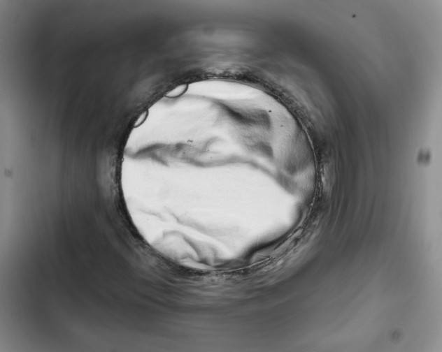 X0000102821396200809151004