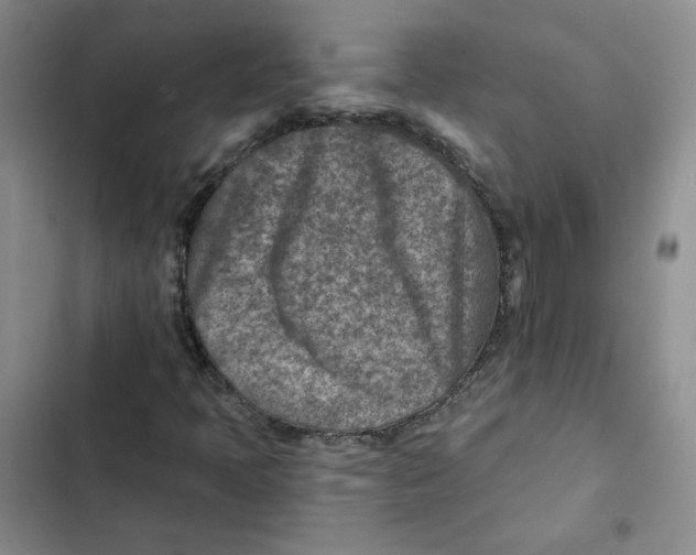 X0000102821397200809151004