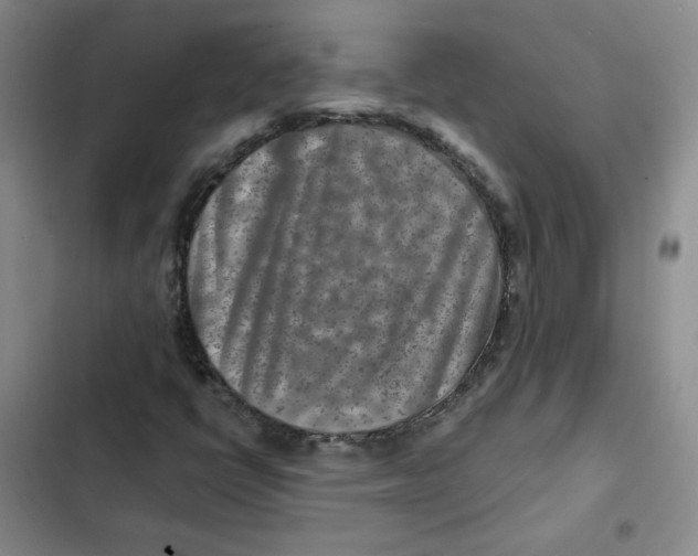 X0000102821398200809151004