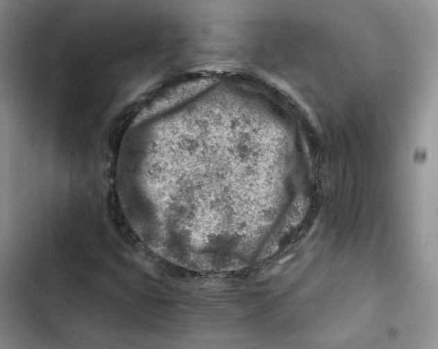 X0000102821399200809151004