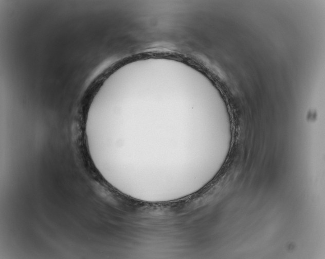 X0000102821400200809151004