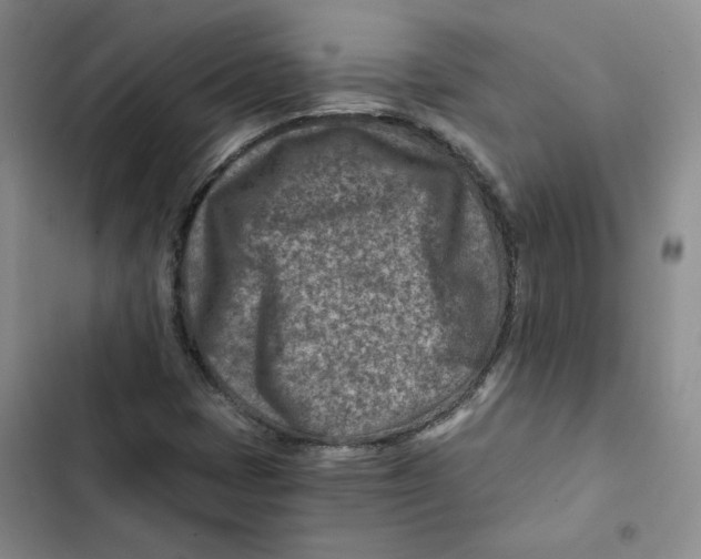 X0000102821401200809151004