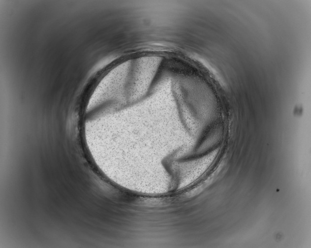 X0000102821402200809151004