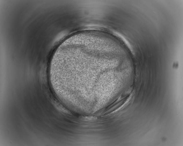 X0000102821403200809151004