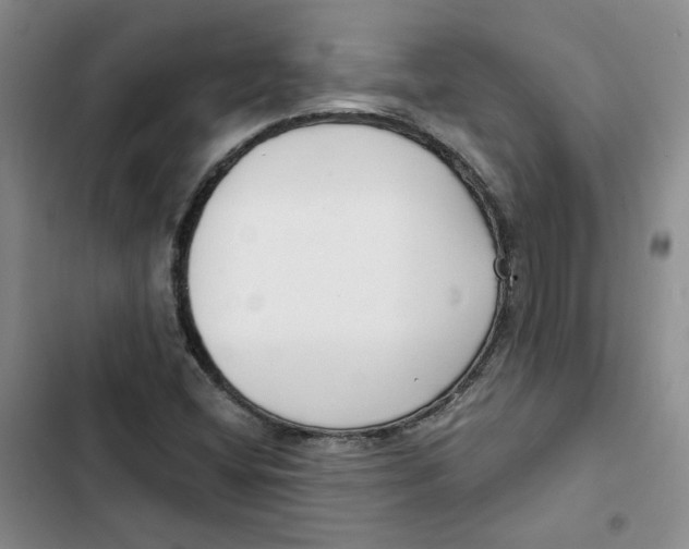 X0000102821404200809151004