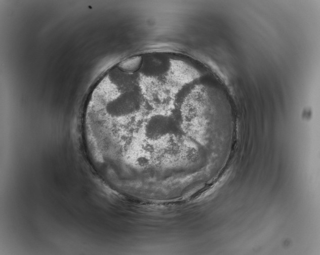 X0000102821405200809151004