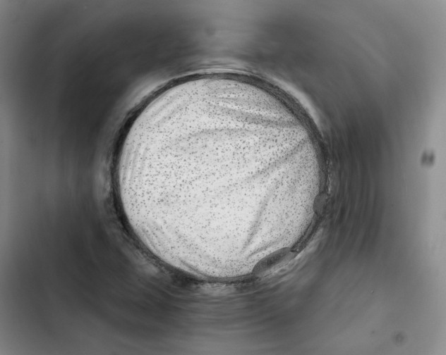 X0000102821407200809151004