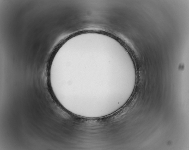 X0000102821408200809151004