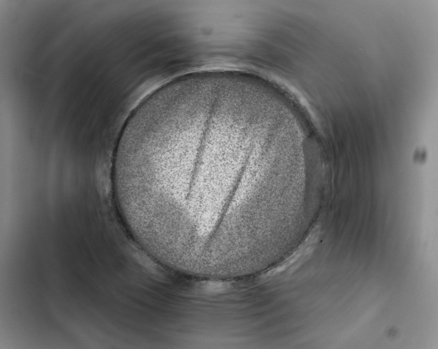 X0000102821409200809151004