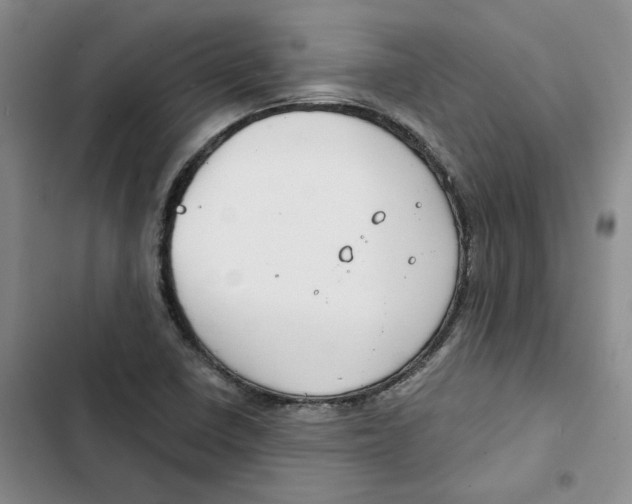 X0000102821410200809151004