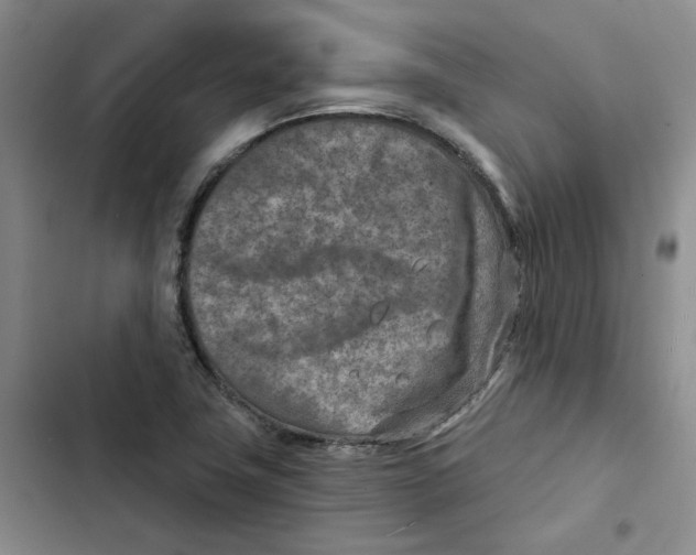 X0000102821411200809151004