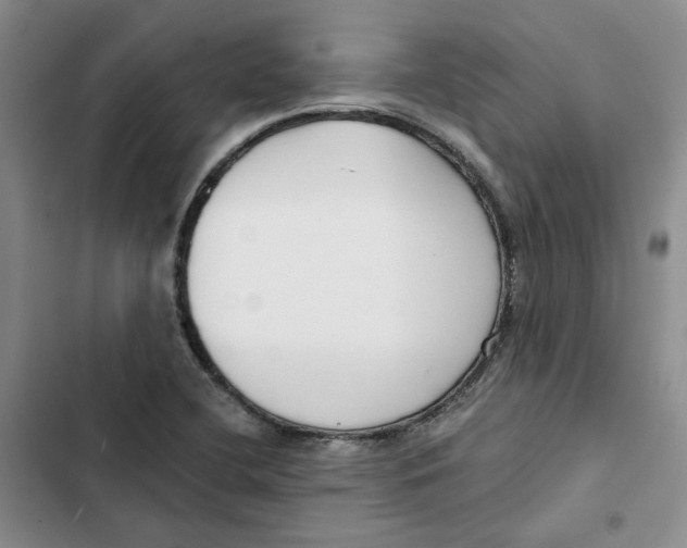 X0000102821412200809151004