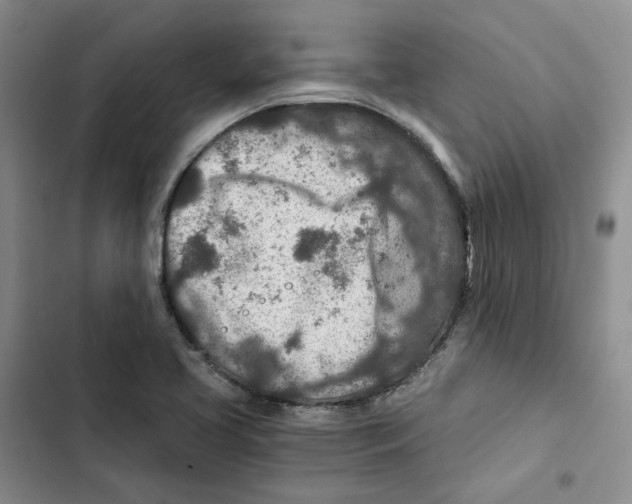 X0000102821413200809151004