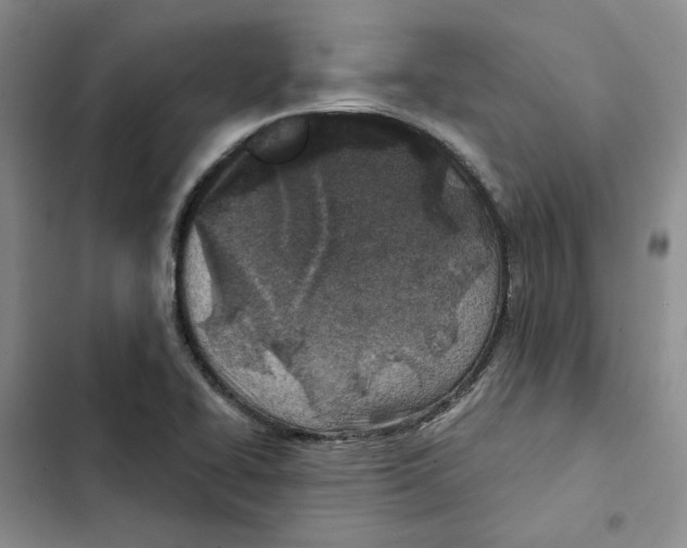 X0000102821414200809151004