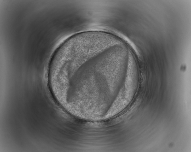 X0000102821415200809151004