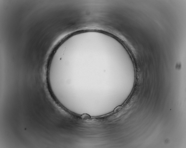 X0000102821416200809151004