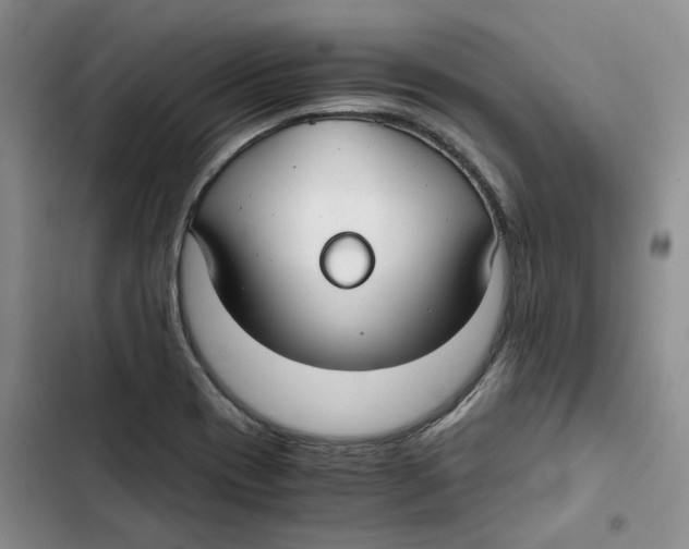 X0000102821417200809151004