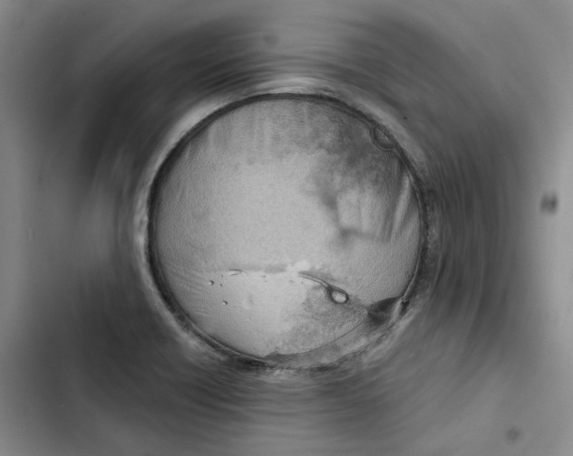 X0000102821418200809151005