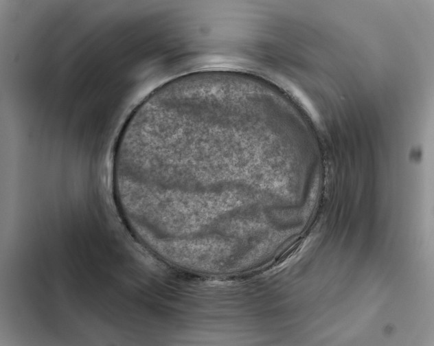 X0000102821419200809151005