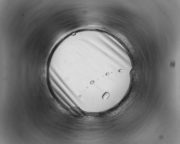 X0000102821420200809151005