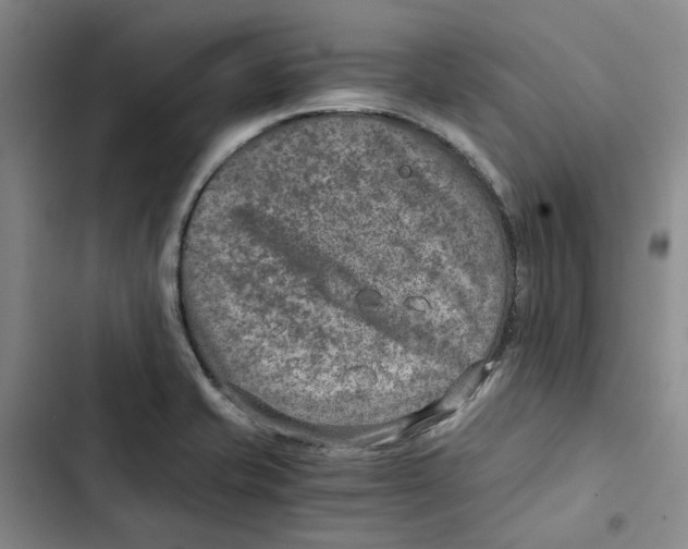 X0000102821421200809151005