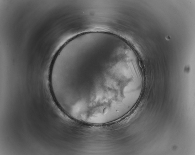 X0000102821422200809151005