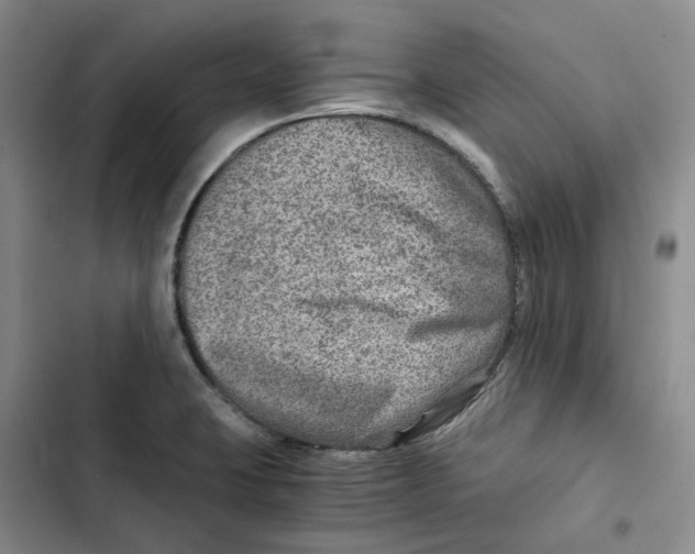 X0000102821423200809151005