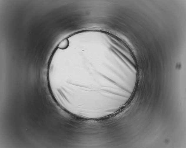X0000102821424200809151005