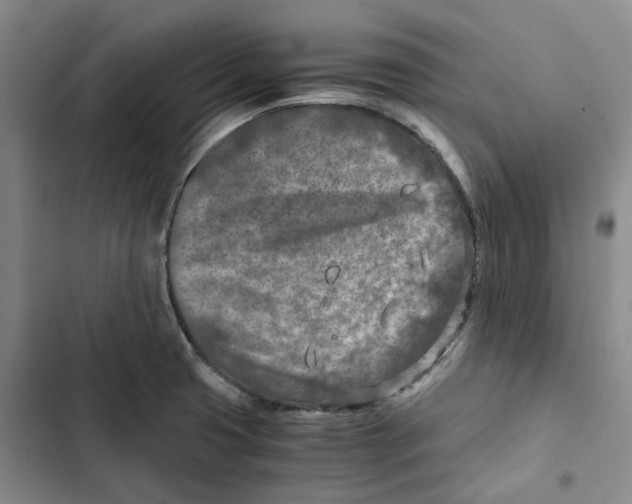 X0000102821425200809151005