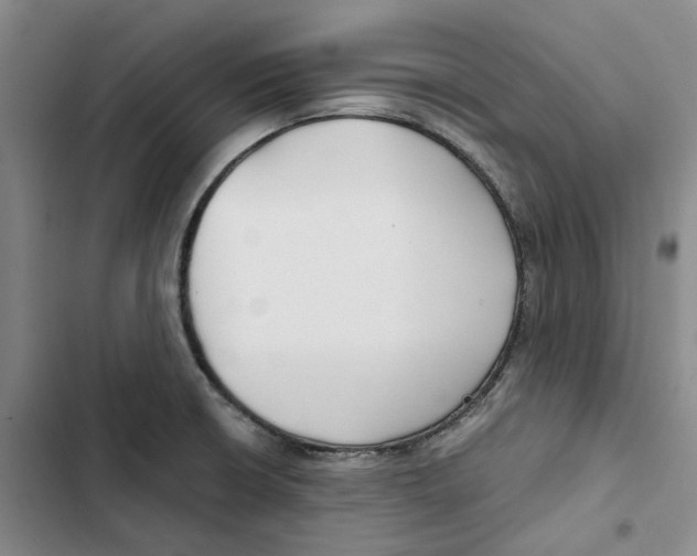 X0000102821426200809151005