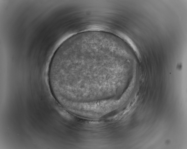 X0000102821427200809151005