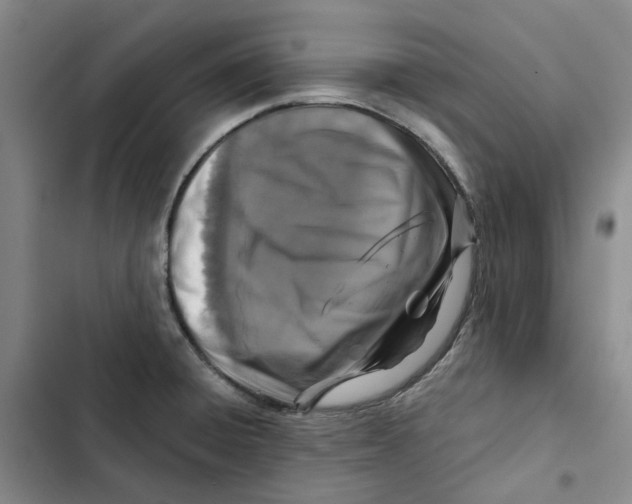 X0000102821428200809151005