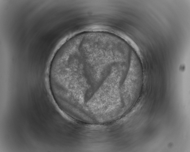 X0000102821429200809151005