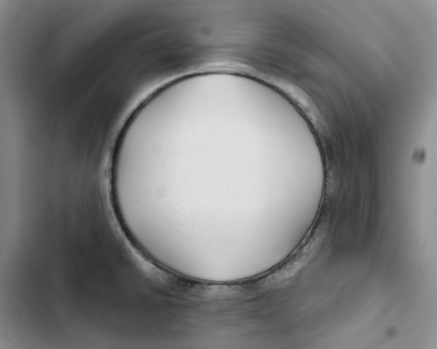 X0000102821430200809151005